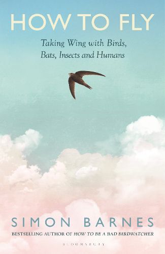 Cover image for How to Fly