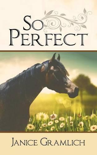 Cover image for So Perfect