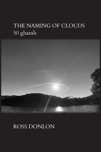 Cover image for The Naming of Clouds