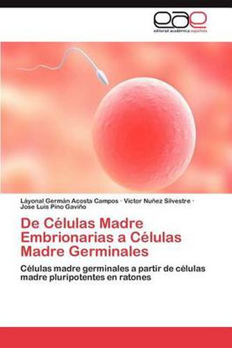 Cover image for de Celulas Madre Embrionarias a Celulas Madre Germinales