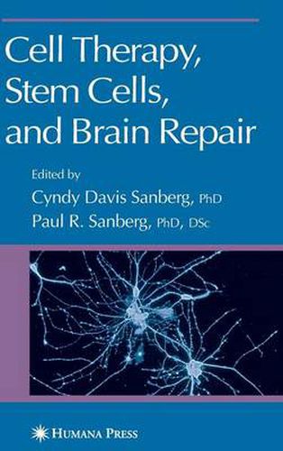 Cell Therapy, Stem Cells and Brain Repair