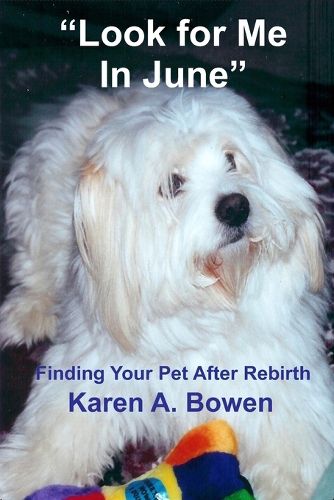 Cover image for Look for Me in June: Finding Your Pet After Rebirth