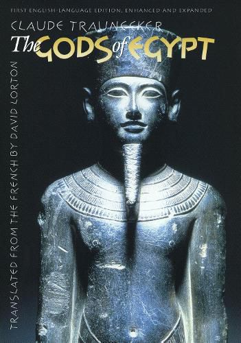Cover image for The Gods of Egypt
