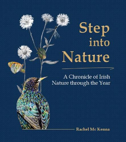 Cover image for Step into Nature