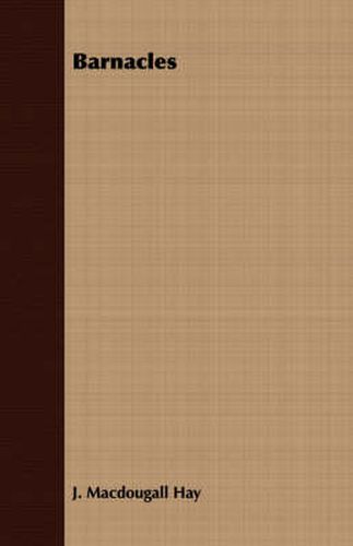 Cover image for Barnacles