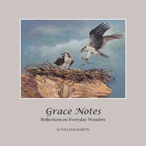 Cover image for Grace Notes: Reflections on Everyday Wonders