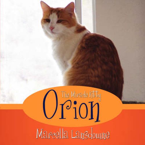 Cover image for Orion the Miracle Kitty