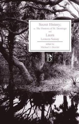 Cover image for Secret History: or, The Horrors of St. Domingo and Laura