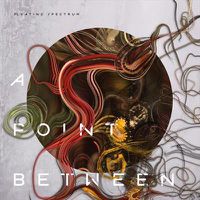 Cover image for A Point Between 