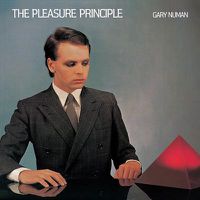 Cover image for Pleasure Principle The First Recordings