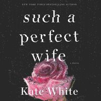 Cover image for Such a Perfect Wife