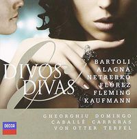 Cover image for Divos And Divas