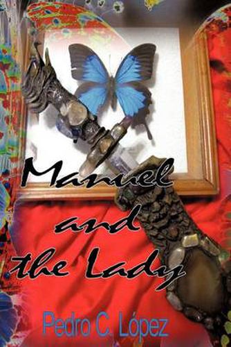 Cover image for Manuel and the Lady