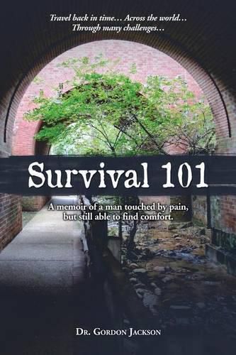 Cover image for Survival 101: A memoir of a man touched by pain, but still able to find comfort.