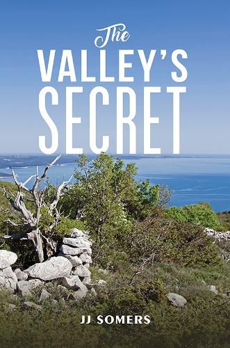 Cover image for The Valley's Secret