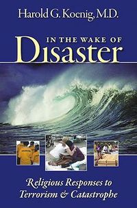 Cover image for In the Wake of Disaster: Religious Responses To Terrorism and Catastrophe