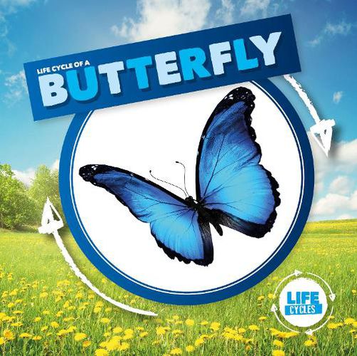 Cover image for Life Cycle of a Butterfly