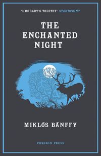 Cover image for The Enchanted Night: Selected Tales