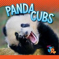 Cover image for Panda Cubs