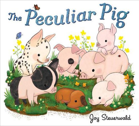 Cover image for The Peculiar Pig