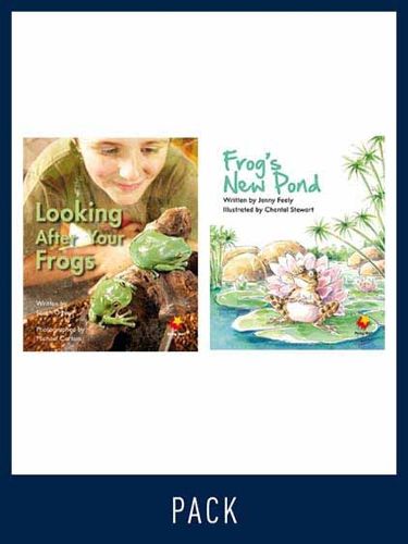 Cover image for Flying Start Guided Reading Pack Level 8, Pack 5: Paired student books (6x6) and lesson plan (1)