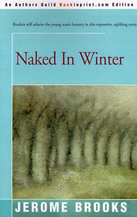 Cover image for Naked in Winter