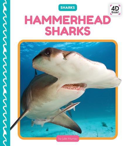 Cover image for Hammerhead Sharks