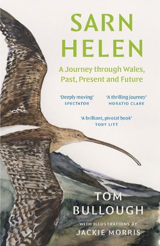 Cover image for Sarn Helen