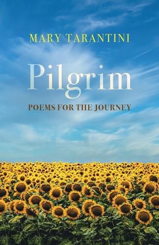 Cover image for Pilgrim