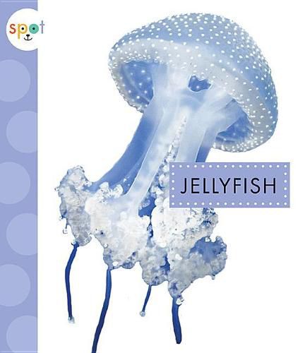 Cover image for Jellyfish