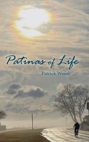 Cover image for Patinas of Life