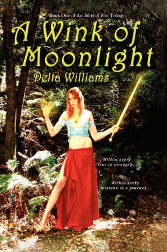 Cover image for A Wink of Moonlight: Book One of the Sibyl of Fire Trilogy