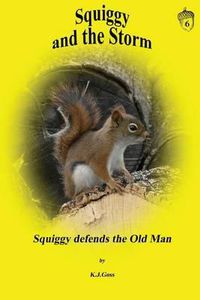 Cover image for Squiggy and the Storm