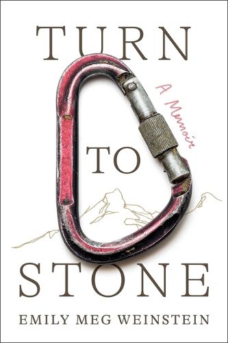 Cover image for Turn to Stone