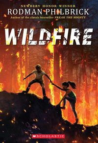 Cover image for Wildfire