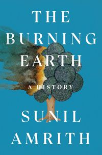 Cover image for The Burning Earth