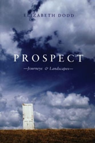 Cover image for Prospect