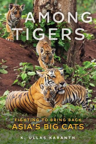 Cover image for Among Tigers