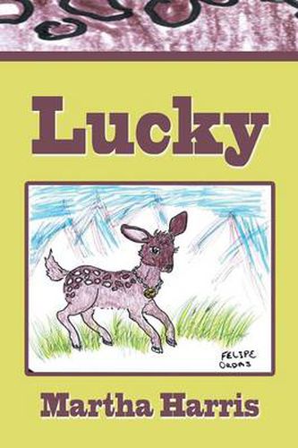 Cover image for Lucky