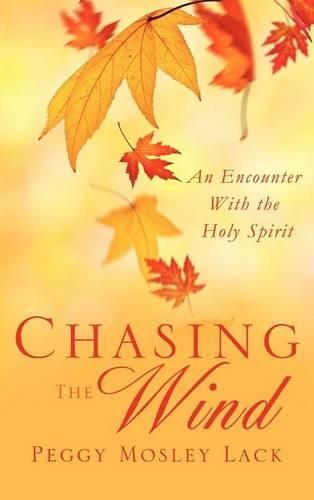 Cover image for Chasing the Wind