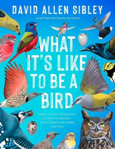 Cover image for What It's Like to Be a Bird (Adapted for Young Readers): From Flying to Nesting, Eating to Singing--What Birds Are Doing, and Why