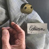 Cover image for Edwin: -