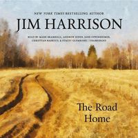 Cover image for The Road Home