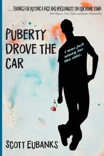 Cover image for Puberty Drove the Car: I was just along for the ride