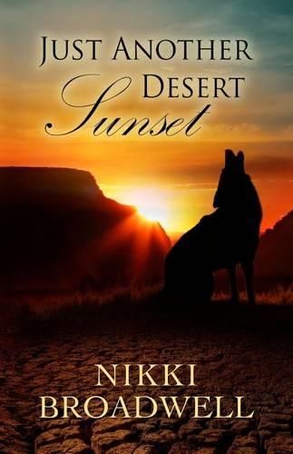 Cover image for Just Another Desert Sunset