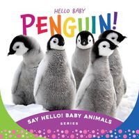 Cover image for Hello Baby Penguin!