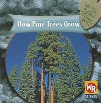 Cover image for How Pine Trees Grow