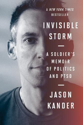 Cover image for Invisible Storm