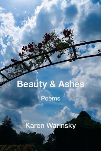 Cover image for Beauty & Ashes