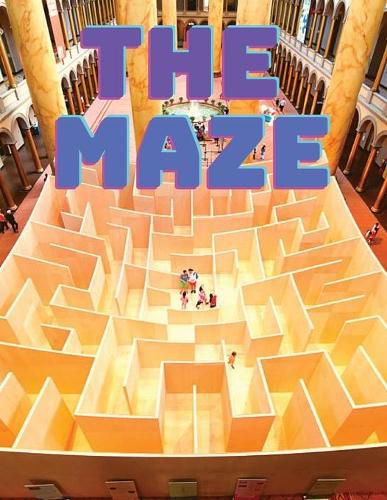 Cover image for Maze Puzzles Book